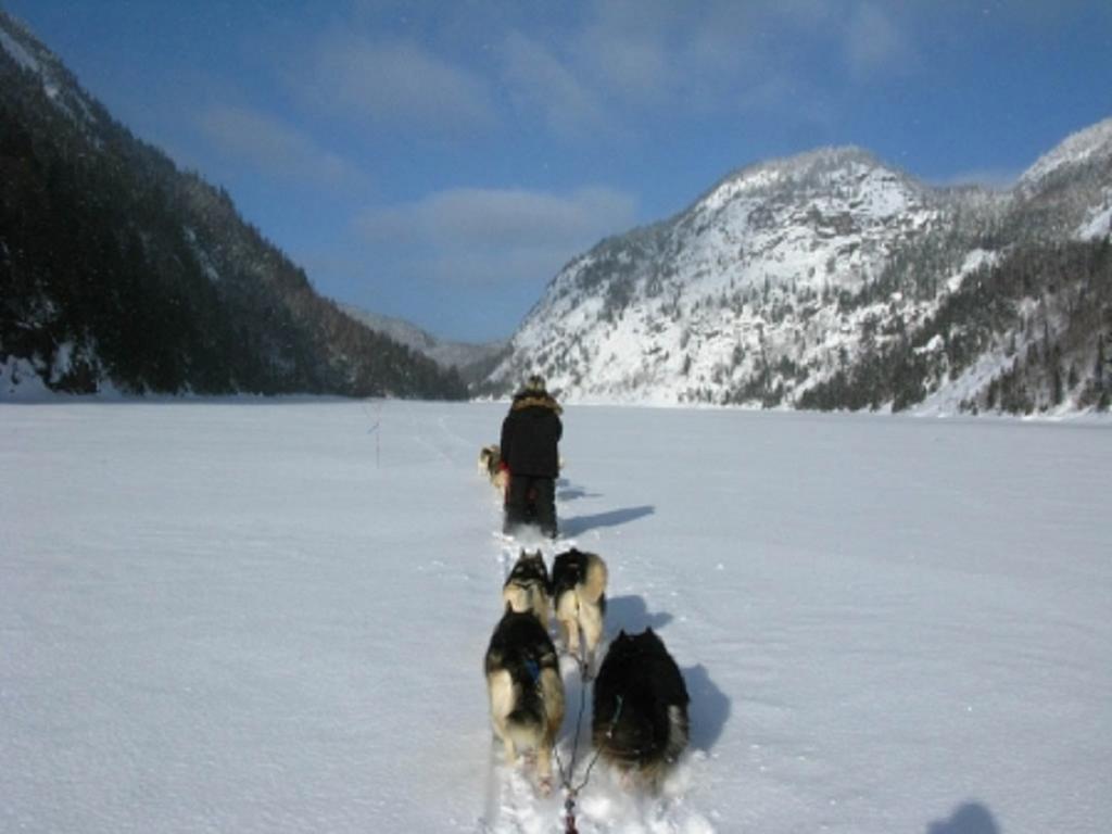 Chalets Condos Sur Le Fjord LʼAnse-Saint-Jean المظهر الخارجي الصورة